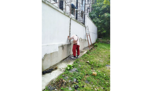 IMAGE 10