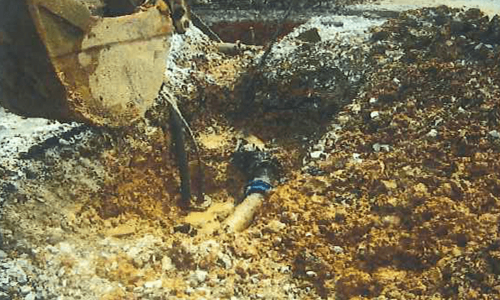 IMAGE 4